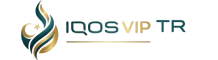 esigaravip3 logo